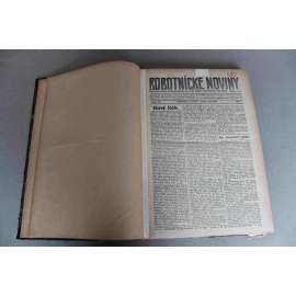 Robotnické noviny 1920, roč. XVII. (leden-červen) (noviny, deník, první republika, Slovensko, mj. Naši súsedia, Elektrizácia Slovenska, Nové územie ČSR, Chceli vyslobodit Bélu Kúna, Minister dr. Šrobár a volby)