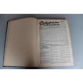 Robotnické noviny 1924, roč. XXI. (leden-březen) (noviny, deník, první republika, Slovensko, mj. Ako predstavuje si Hlinka autonomiu Slovenska, V. Iljič Lenin - mrtvý!, Bez Ruska europská politika a europský mier nie je možný)