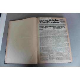 Robotnické noviny 1931, roč. XXVIII. (červenec-září) (noviny, deník, první republika, Slovensko, mj. Kúpele Sliač, Amerika a Francia sa dohodly o príročie pre Nemecko, Važec horí!, Mussolini, Komunisti i s p. Gottwaldom v Bratislave vypískaní)