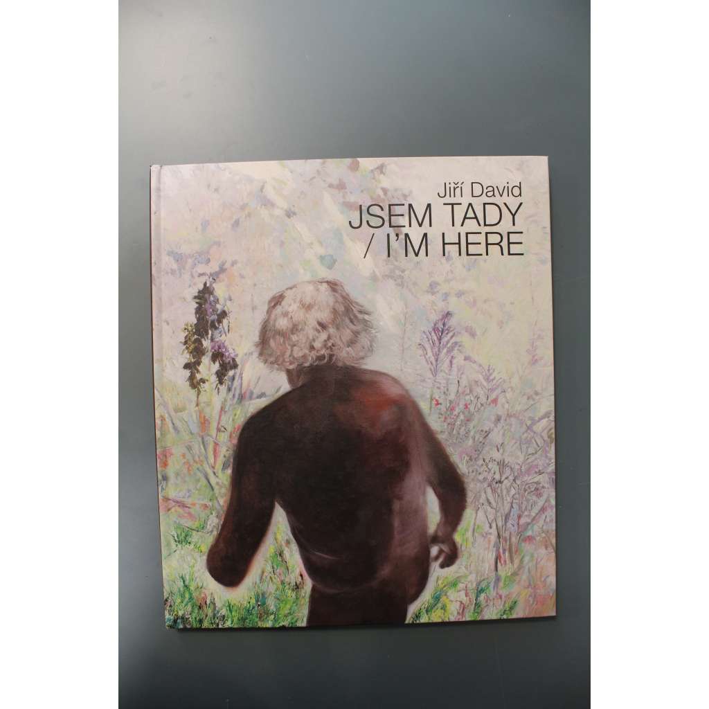 Jiří David. Jsem tady/I´m here (výstavní katalog, malířství, abstrakce)