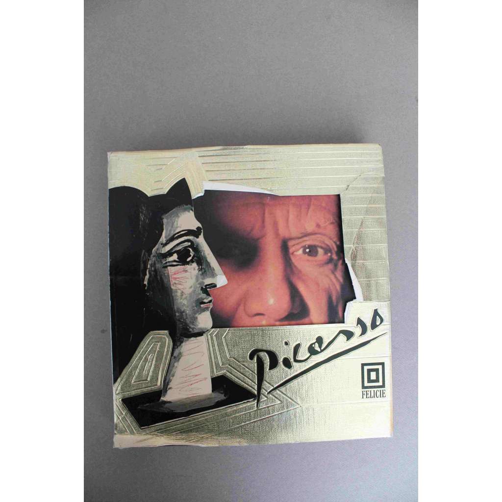 Pablo Picasso (malířství, kubismus, fotografie)