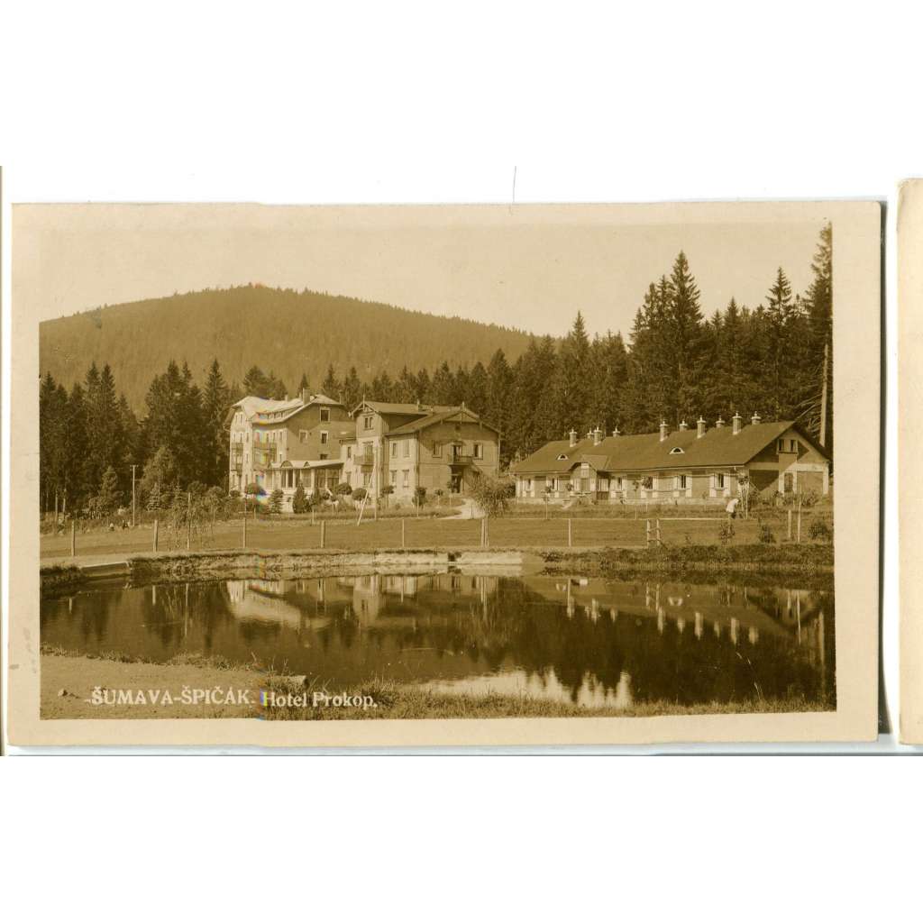 Špičák, Železná Ruda,, Klatovy, Šumava,  hotel Prokop