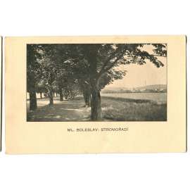 Mladá Boleslav