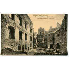 Hukvaldy, Frýdek Místek, hrad