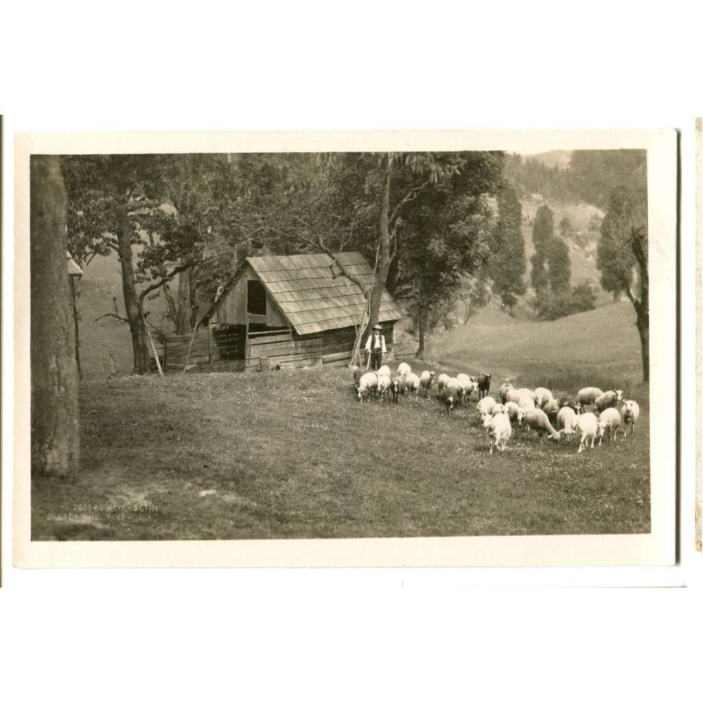 Nový Hrozenkov, Vsetín
