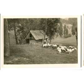 Nový Hrozenkov, Vsetín