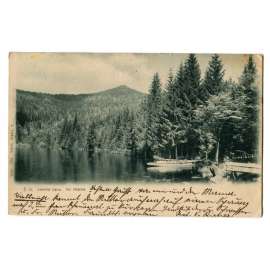 Jezero Javor, Železná Ruda, Klatovy, Šumava