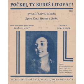 Počkej, ty budeš litovat