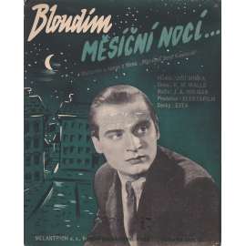 Bloudím měsíční nocí