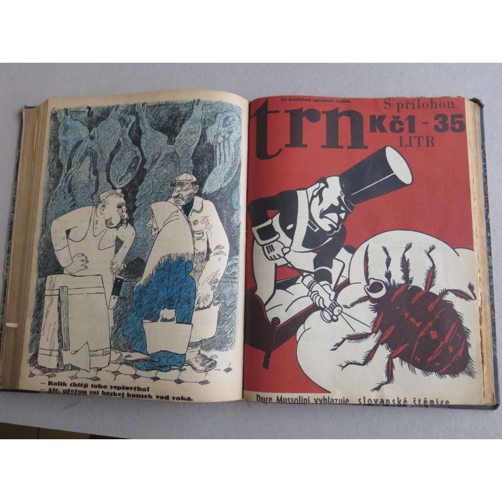 Trn. satirický časopis studentů, roč. VI. - 1930 (1-48) (satira, humor, mj. C. a K. Sokol, V Praze na celnici, Napravený plukovník Švec,  ilustrace F. Tichý, F. Bidlo)
