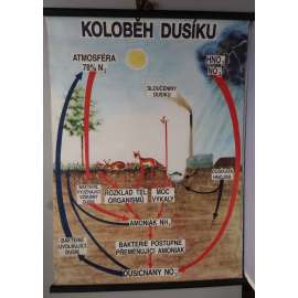 Koloběh dusíku - chemie - přírodopis - školní plakát