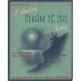 S touhou čekám tě zas