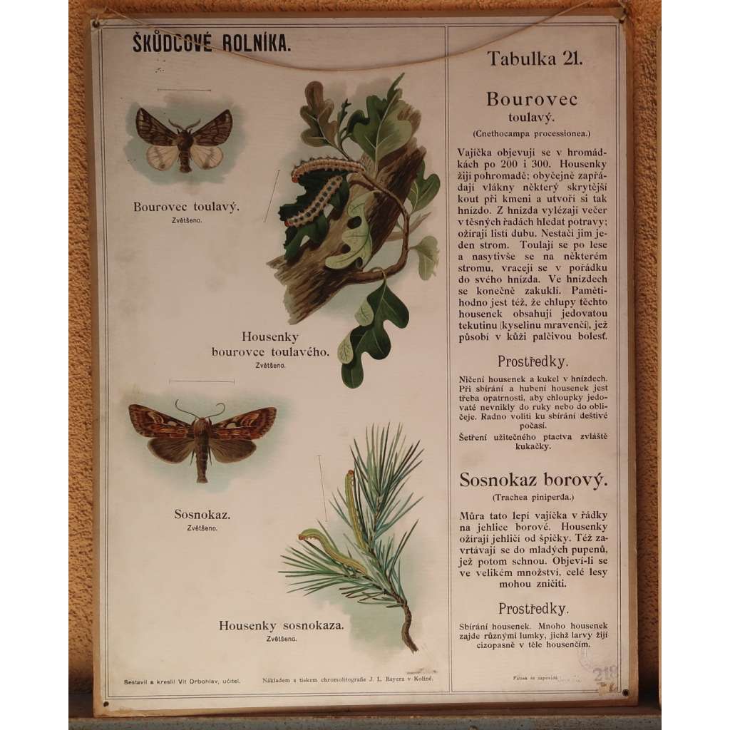 Škůdcové rolníka 21 - přírodopis - hmyz - školní plakát - Bourovec toulavý, Sosnokaz borový