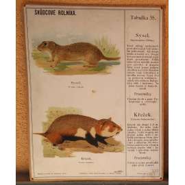 Škůdcové rolníka 35 - sysel - křeček - přírodopis - školní plakát