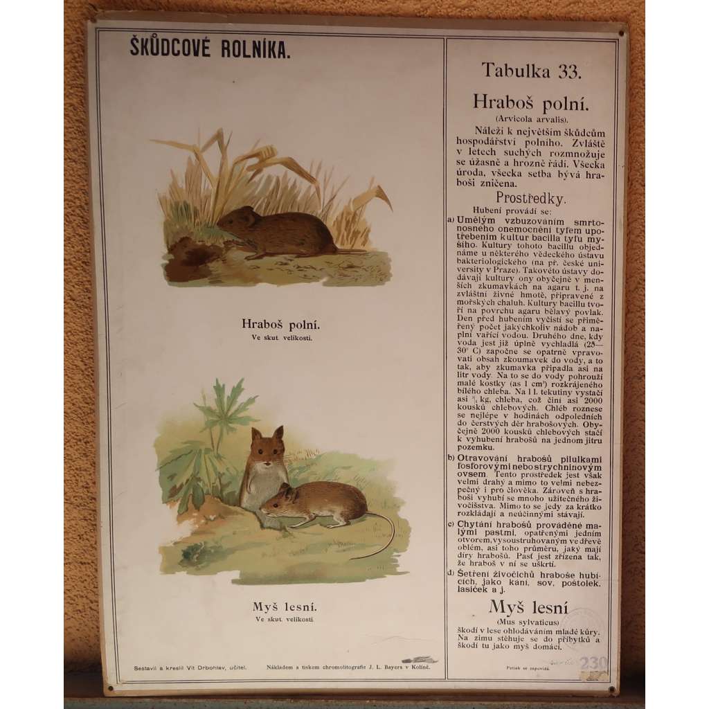 Škůdcové rolníka 33 - přírodopis - školní plakát - Hraboš polní - Myš lesní