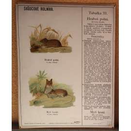 Škůdcové rolníka 33 - přírodopis - školní plakát - Hraboš polní - Myš lesní