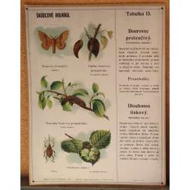 Škůdcové rolníka 15 - přírodopis - školní plakát - Brourec prstenčivý - Dlouhonos lískový