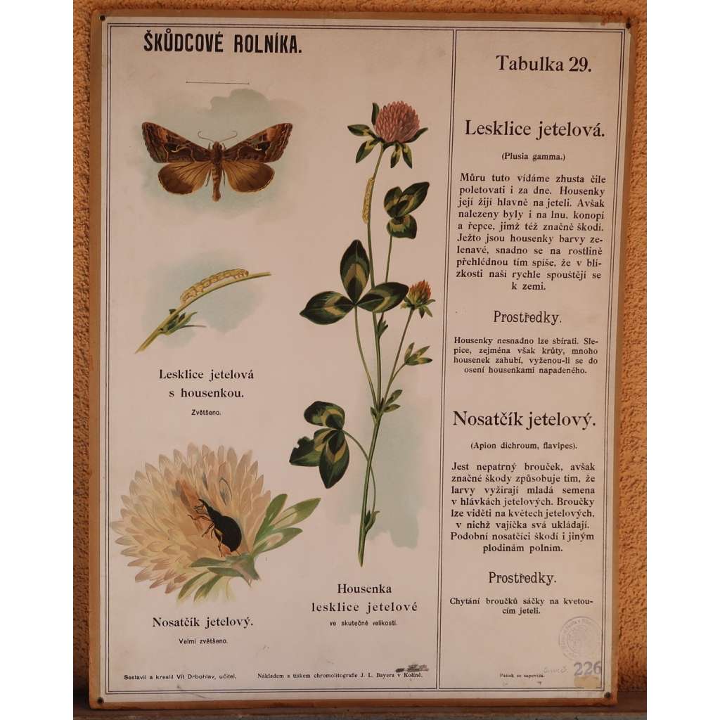 Škůdcové rolníka 29 - přírodopis - školní plakát - Lesklice jetelová, nosatčík jetelový