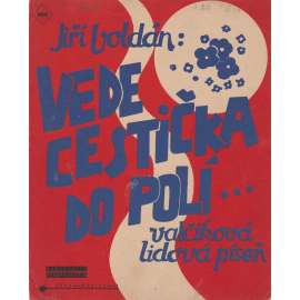Vede cestička do polí