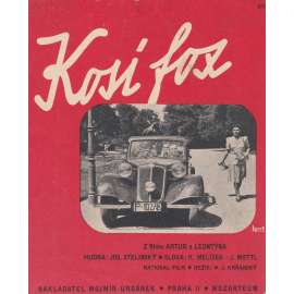 Kosí fox