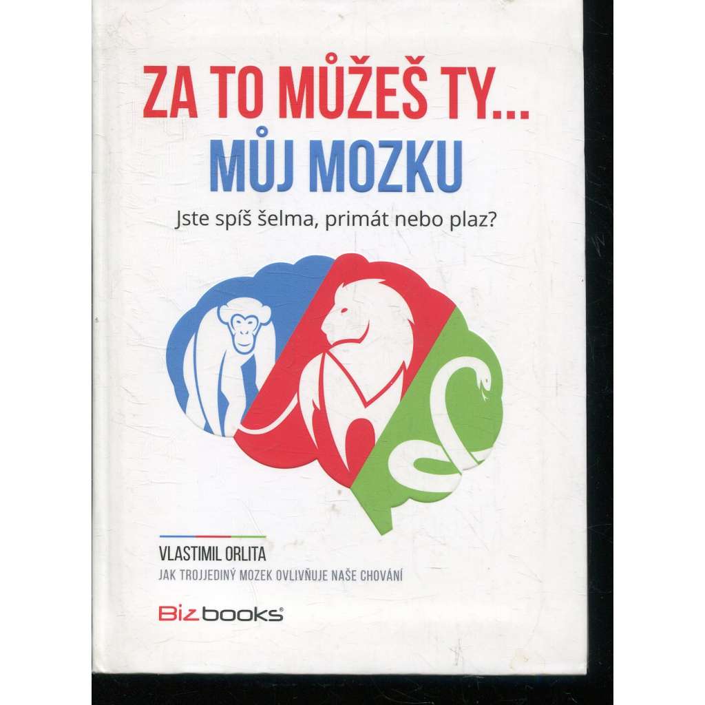 Za to můžeš ty... můj mozku