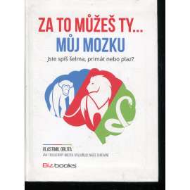 Za to můžeš ty... můj mozku