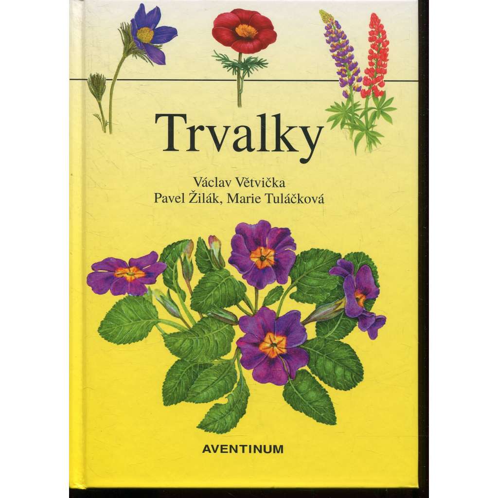 Trvalky