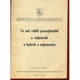 Co má vědět pronajimatel a nájemník o bytech a nájemném