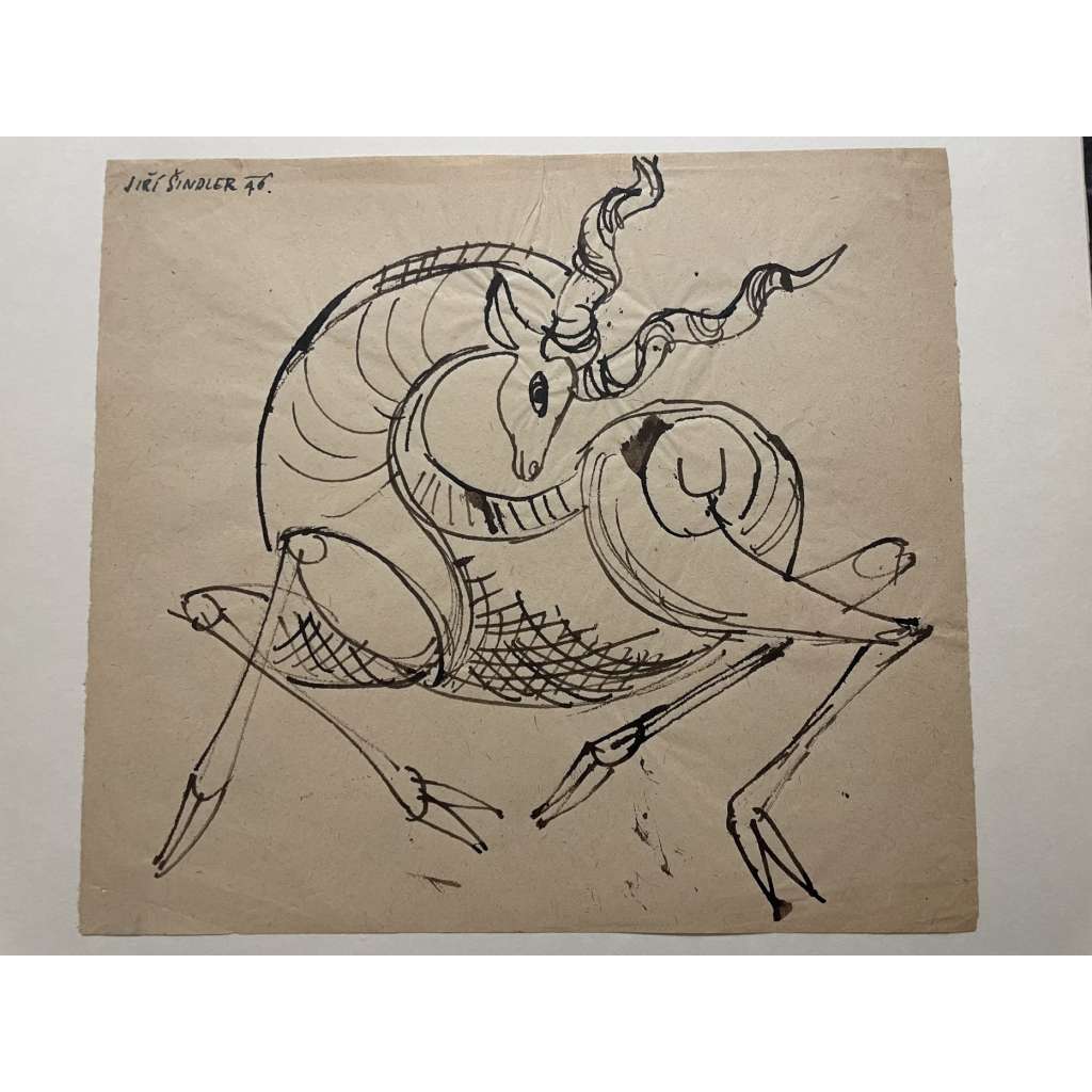 Kozoroh, kresba uhlem (Jiří Šindler) 1946