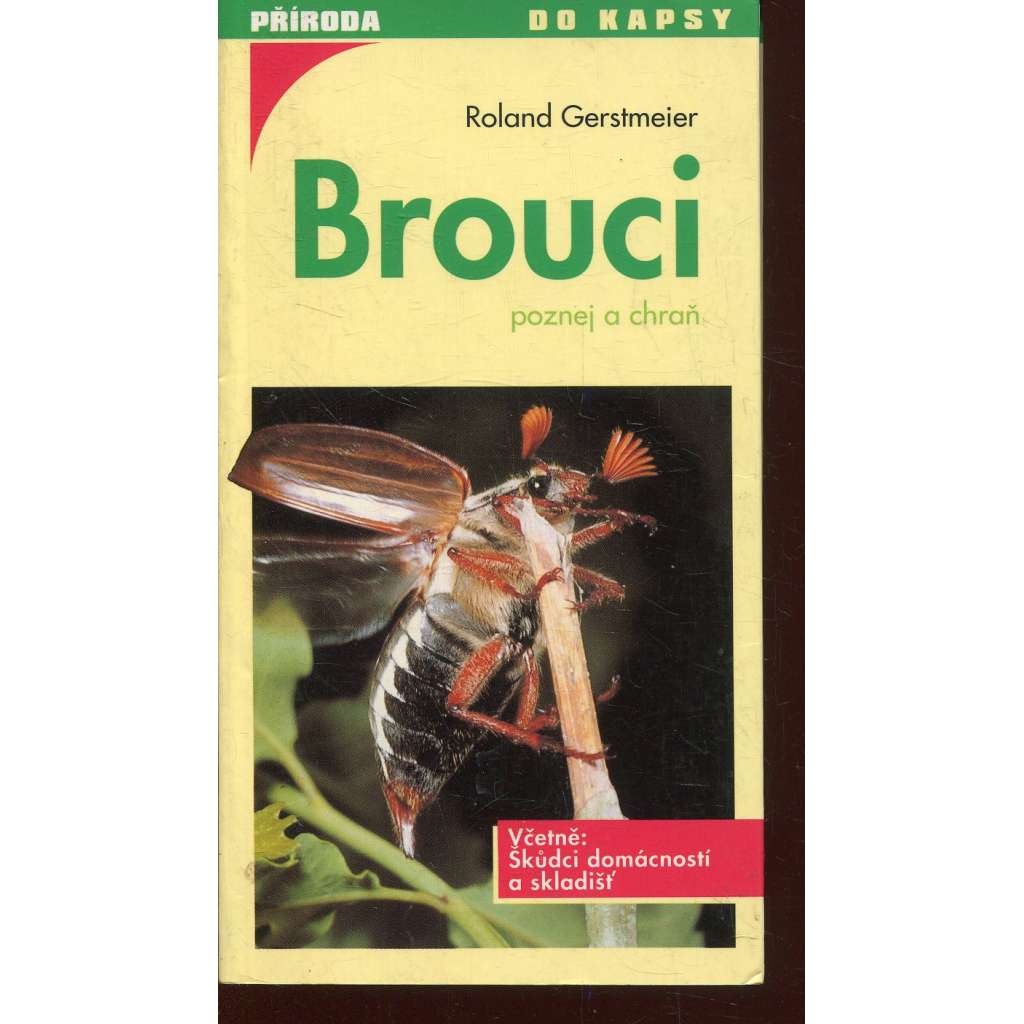 Brouci