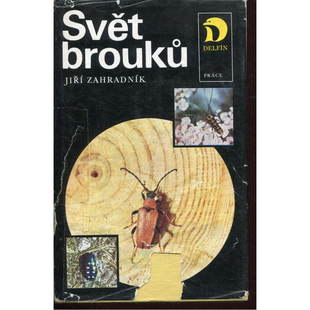 Svět brouků (brouci)