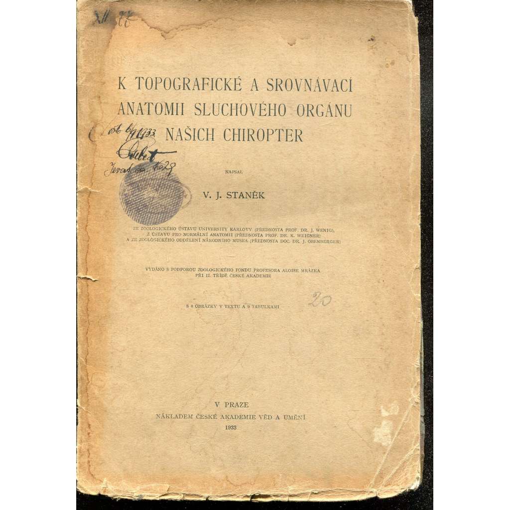 K topografické a srovnávací anatomii sluchového orgánu našich chiropter (netopýr, netopýři)