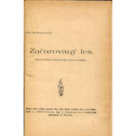 Začarovaný les (divadlo, divadelní hra)