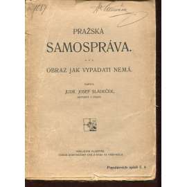 Pražská samospráva. Obraz jak vypadati nemá