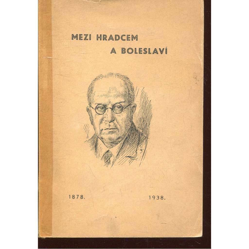 Mezi Hradcem a Boleslaví (podpis Ferdinand Strejček)