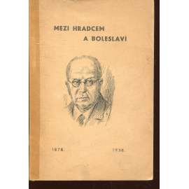Mezi Hradcem a Boleslaví (podpis Ferdinand Strejček)