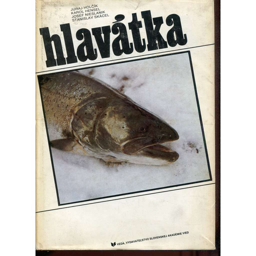 Hlavátka [ryby, rybářství, rybaření] - Hlavatka (text slovensky)
