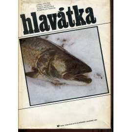 Hlavátka [ryby, rybářství, rybaření] - Hlavatka (text slovensky)