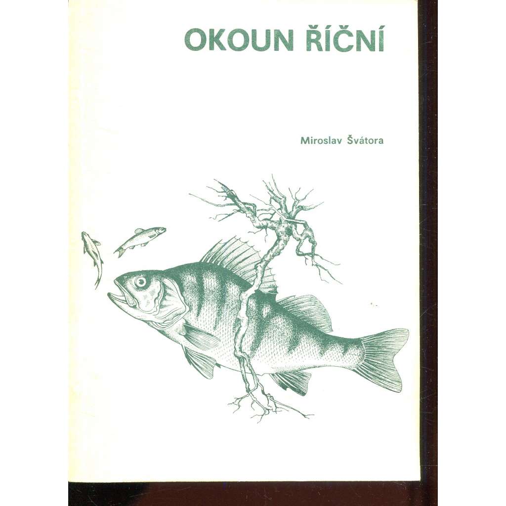 Okoun říční (rybářství, ryby)