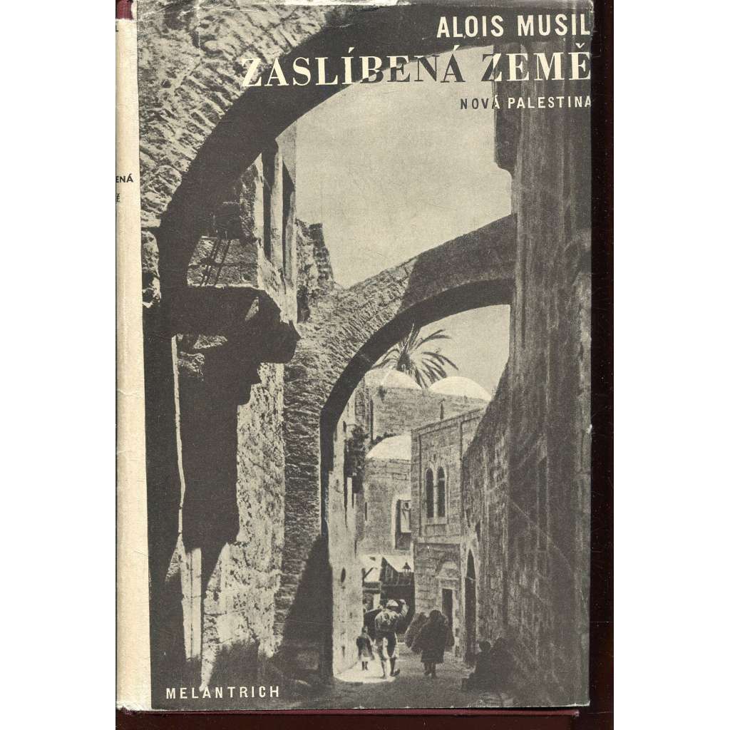 Zaslíbená země (Nová Palestina)