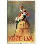 Kůže lva (vazba kůže - polokožená)