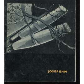 Josef Ehm [Umělecká fotografie, sv. 8; český fotograf, monografie; fotografické dílo]