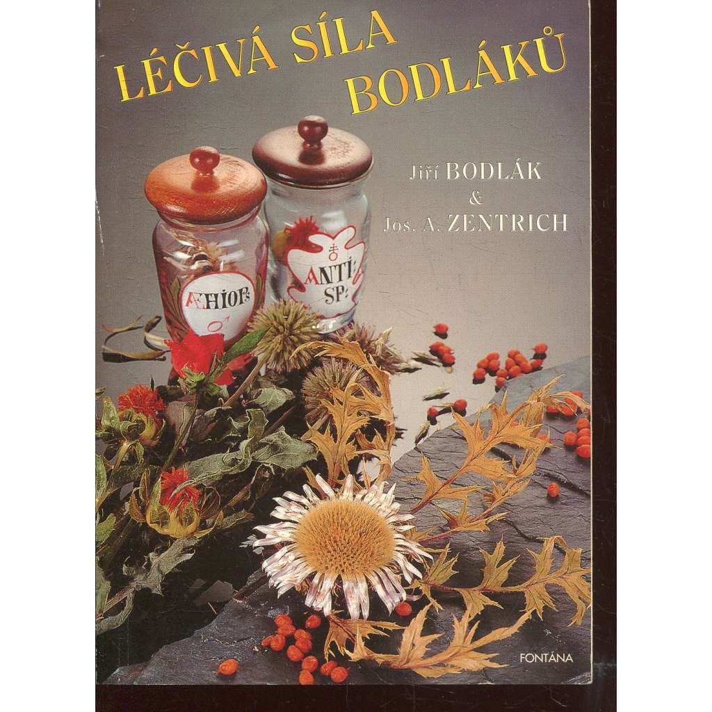 Léčivá síla bodláků (bodláky)