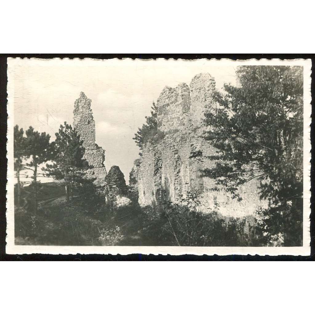 Starý Jičín - hrad, Nový Jičín