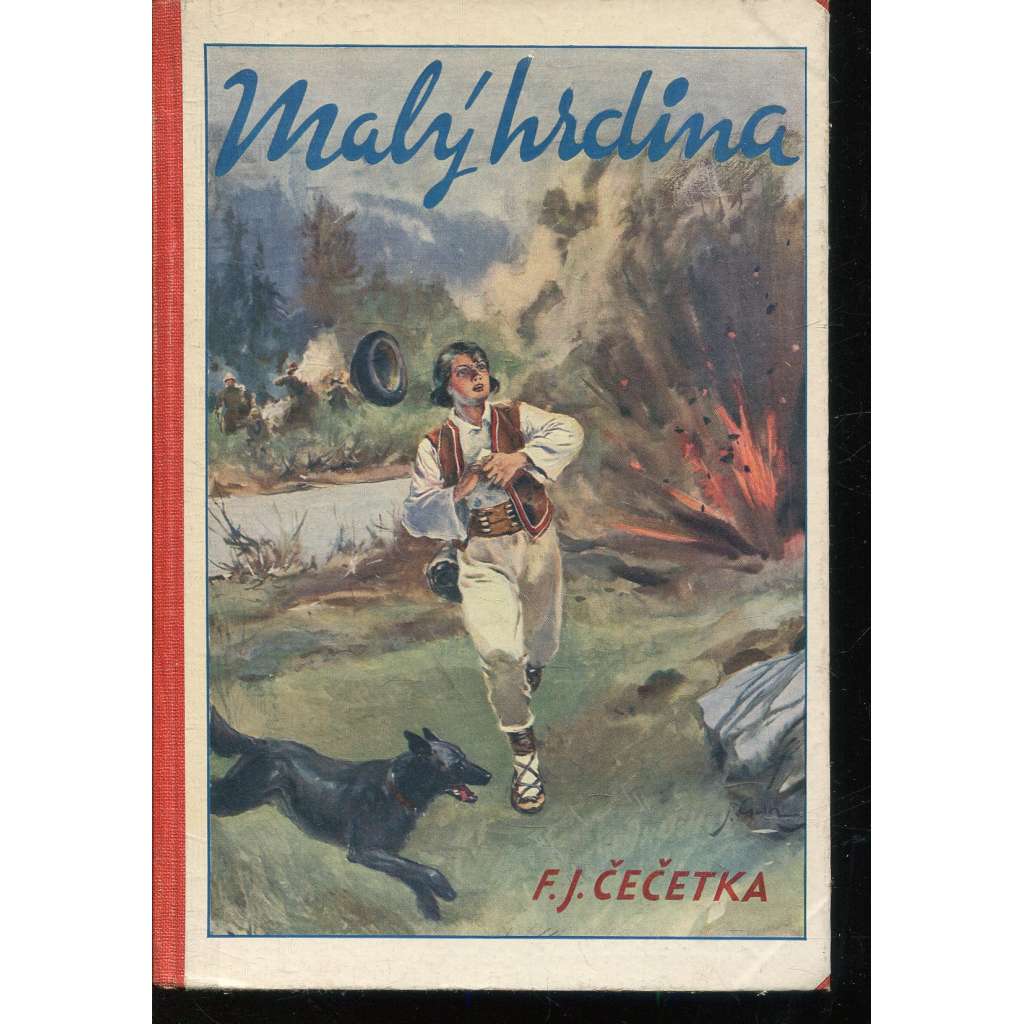 Malý hrdina. Příběh bojů za svobodu na Slovensku