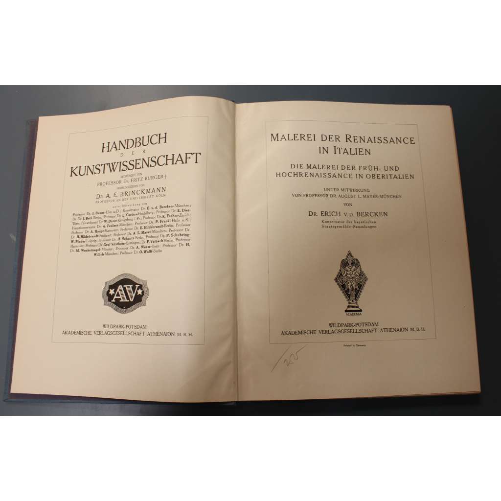 Malerei der Renaissance in Italien (Handbuch der Kunstwissenschaft) (Malířství renesance v Itálii; Mantegna, Crivelli, Carpaccio, Tizian, Gio. Bellini, Giorgione, Correggio)