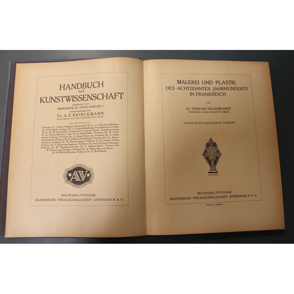 Malerei und Plastik des 18. Jahrhunderts in Frankreich (Handbuch der Kunstwissenschaft) (Malířství a sochařství 18. století ve Francii, Francie, rokoko, mj. Fragonard, Watteau, Falconet)