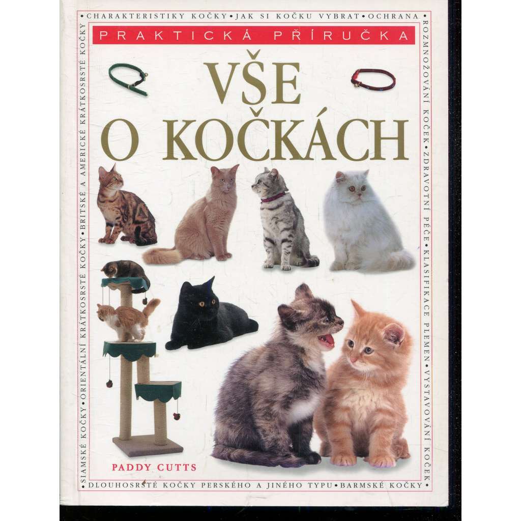 Vše o kočkách (kočka, kočky) Vše o kočkách (kočka, kočky)