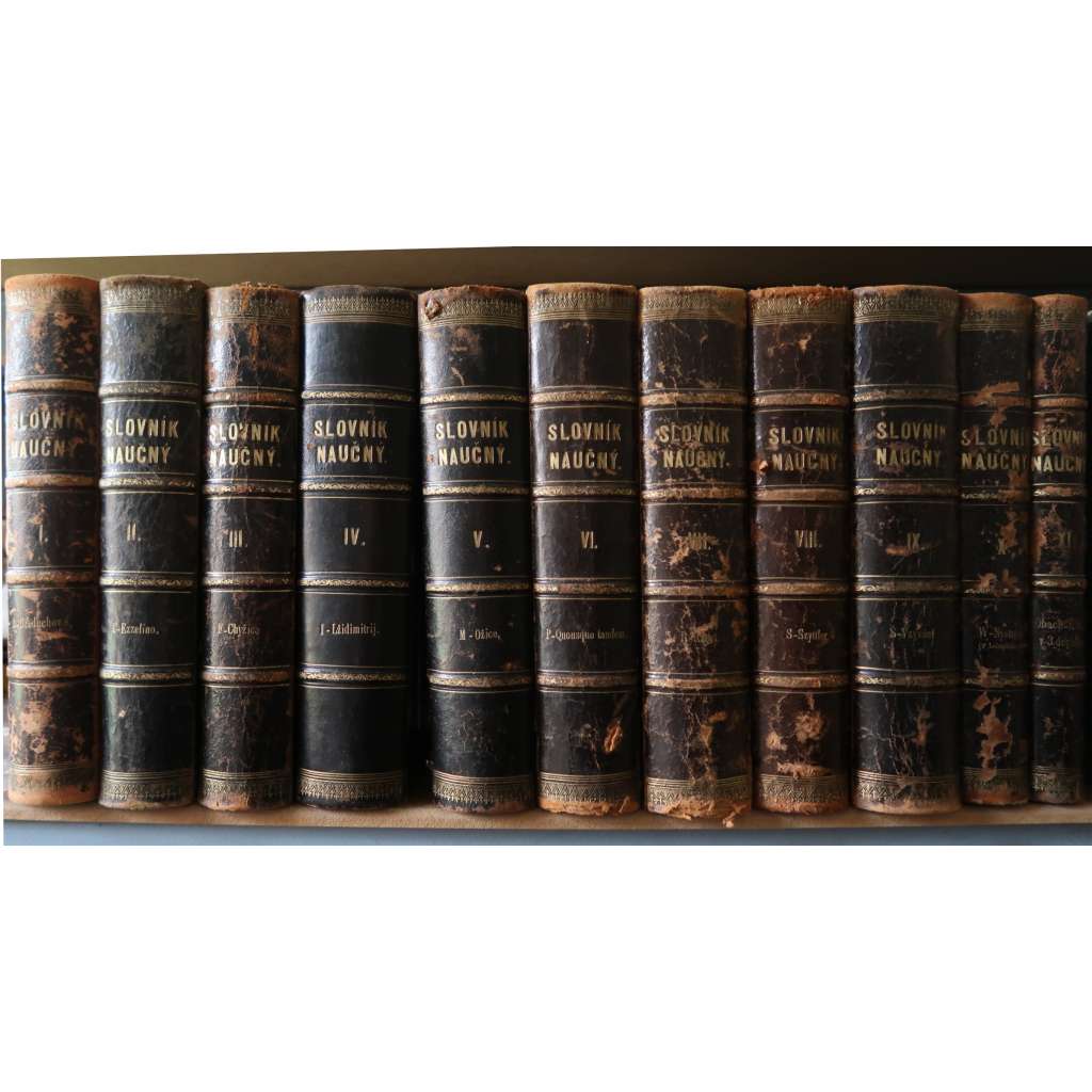 RIEGRŮV SLOVNÍK NAUČNÝ - KOMPLET 11 dílů - VAZBY KŮŽE