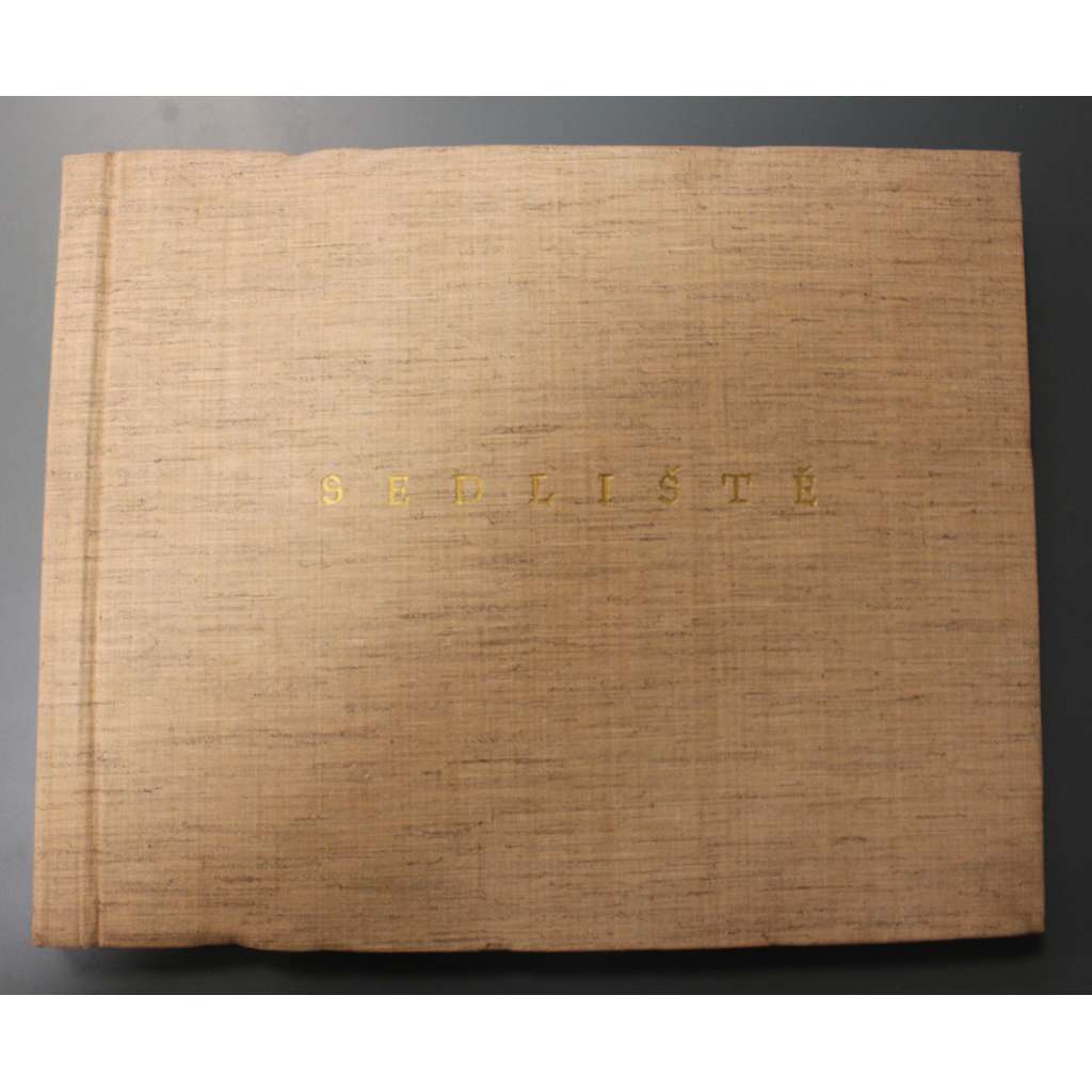 Fotografická dokumentace Sedliště (Kostel Všech svatých, dřevěný kostel, památková péče, fotografie; okr. Frýdek Místek)